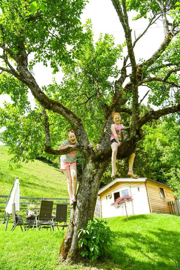Kendlhof Lägenhet Sankt Johann im Pongau Exteriör bild