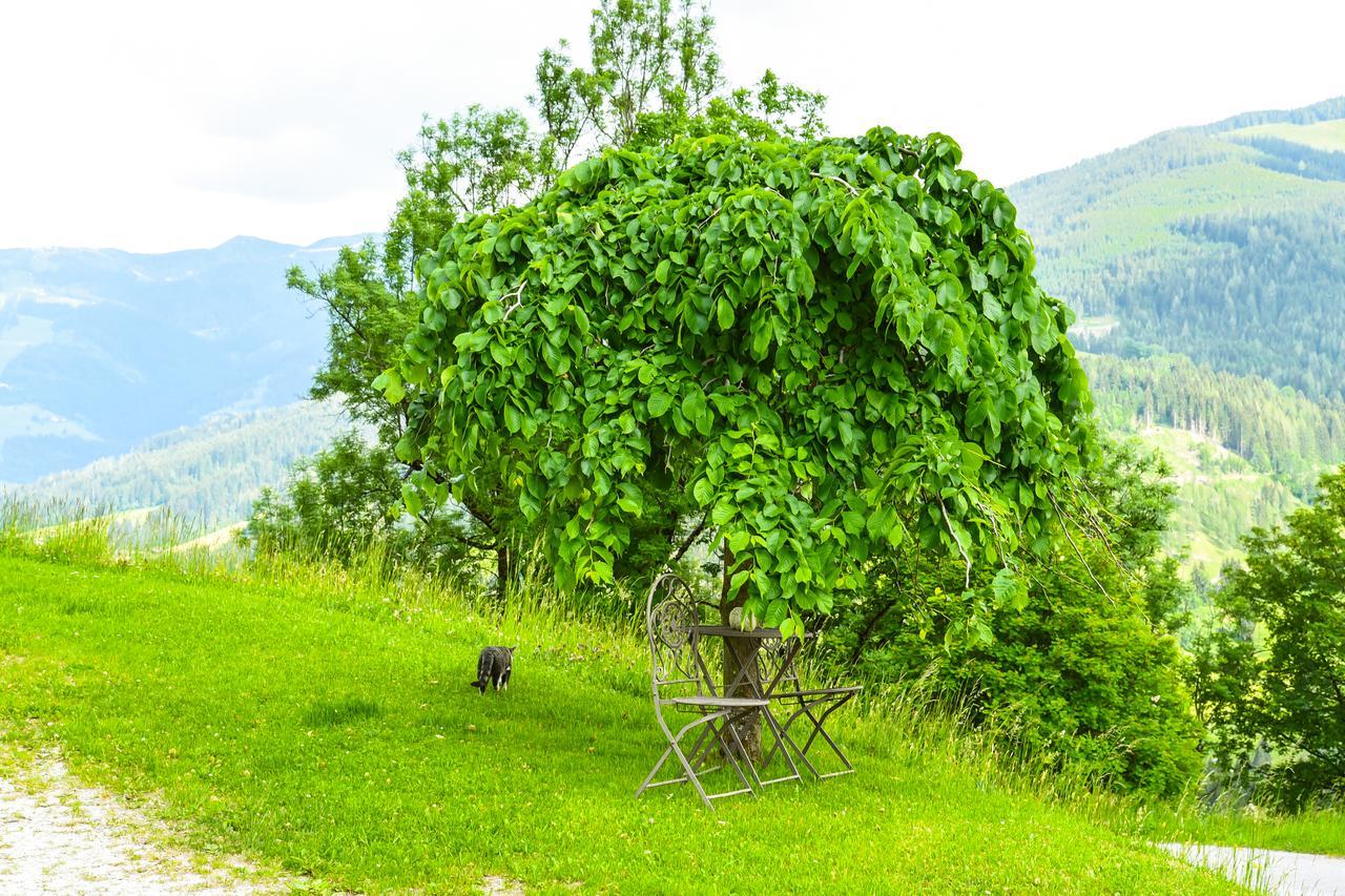 Kendlhof Lägenhet Sankt Johann im Pongau Exteriör bild
