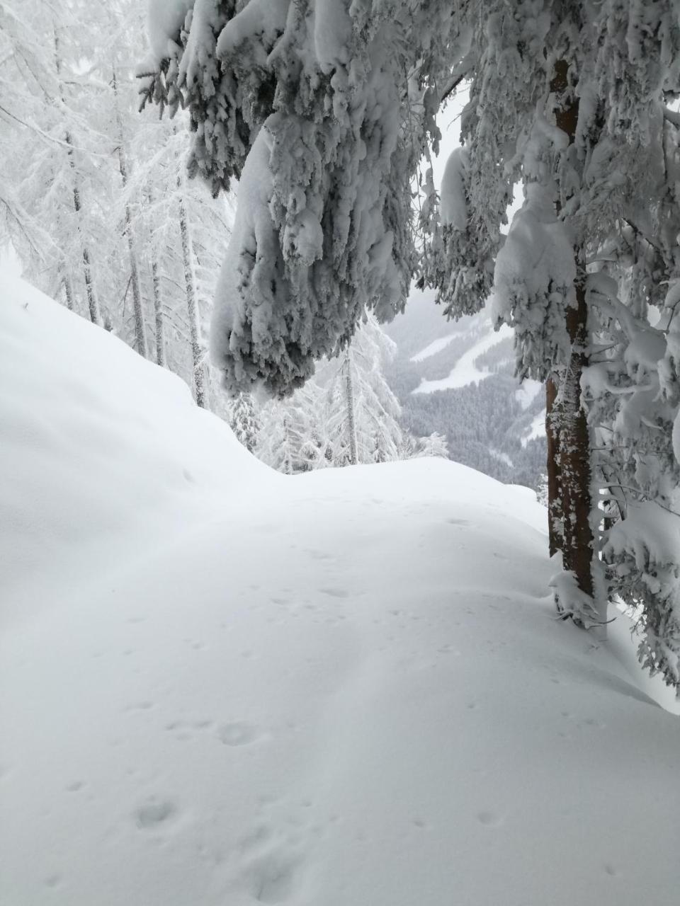Kendlhof Lägenhet Sankt Johann im Pongau Exteriör bild