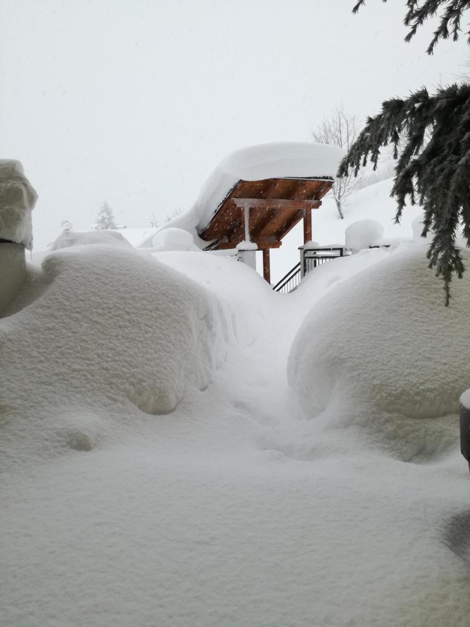 Kendlhof Lägenhet Sankt Johann im Pongau Exteriör bild
